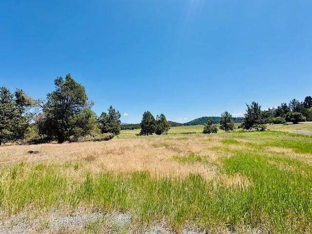 Klamath Falls, OR 97601,Murrelet RD #Lot 1130