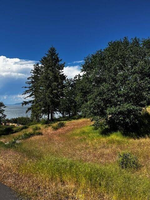 Klamath Falls, OR 97601,Dunlin #Lot 951
