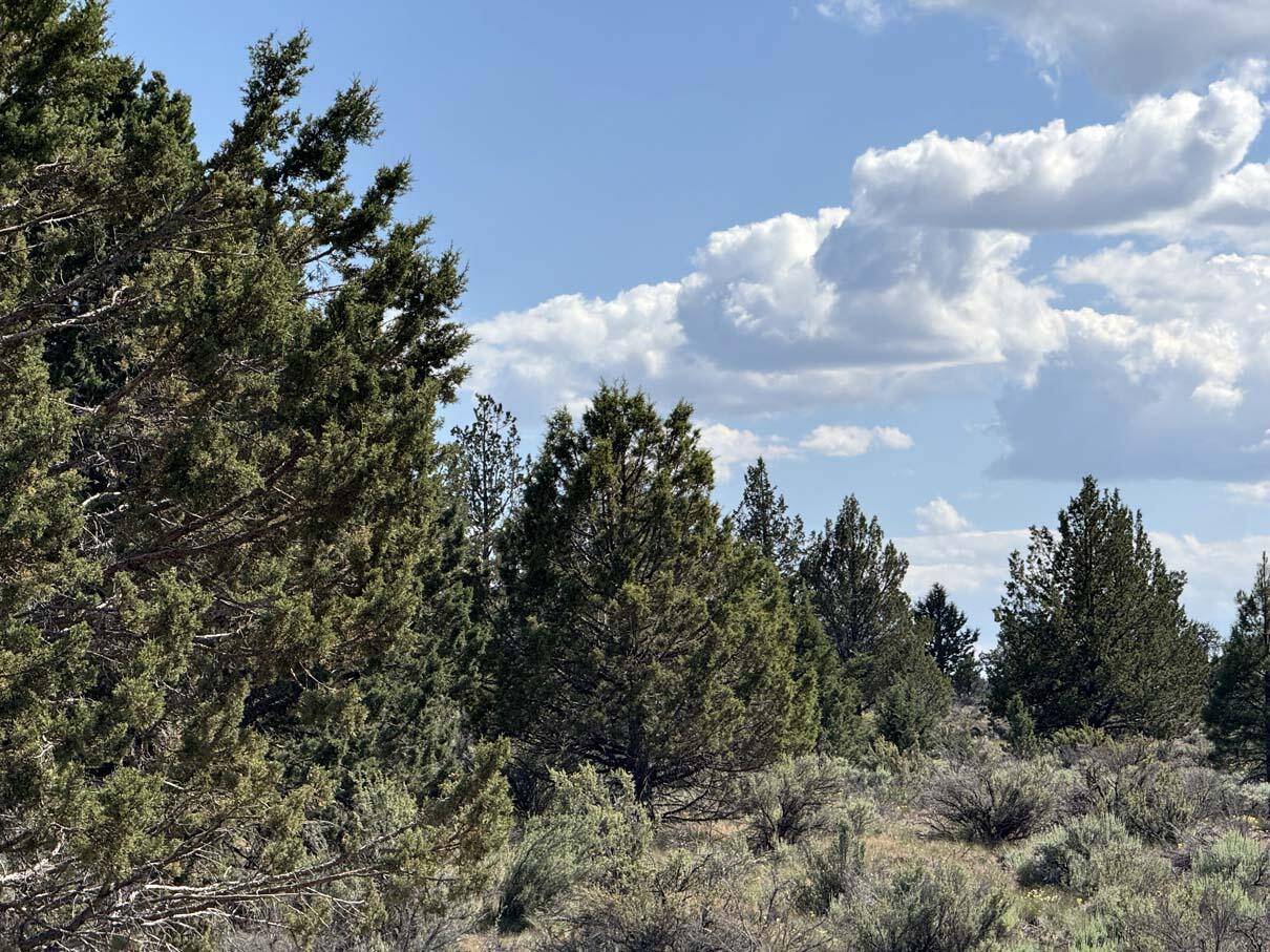 Beatty, OR 97621,HWY 140 #300