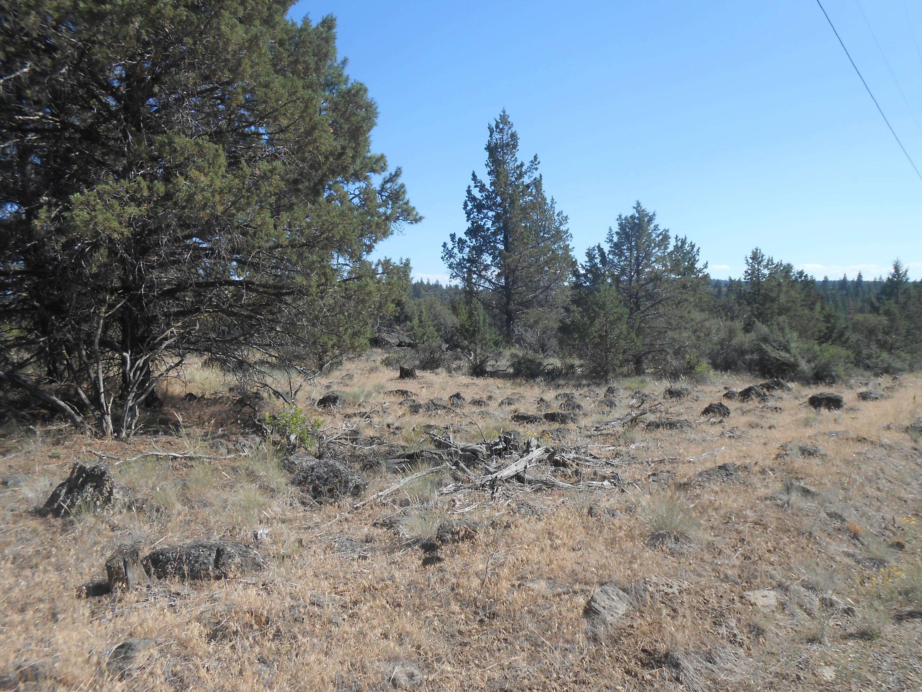 Bonanza, OR 97623,0 Ground Squirrel DR