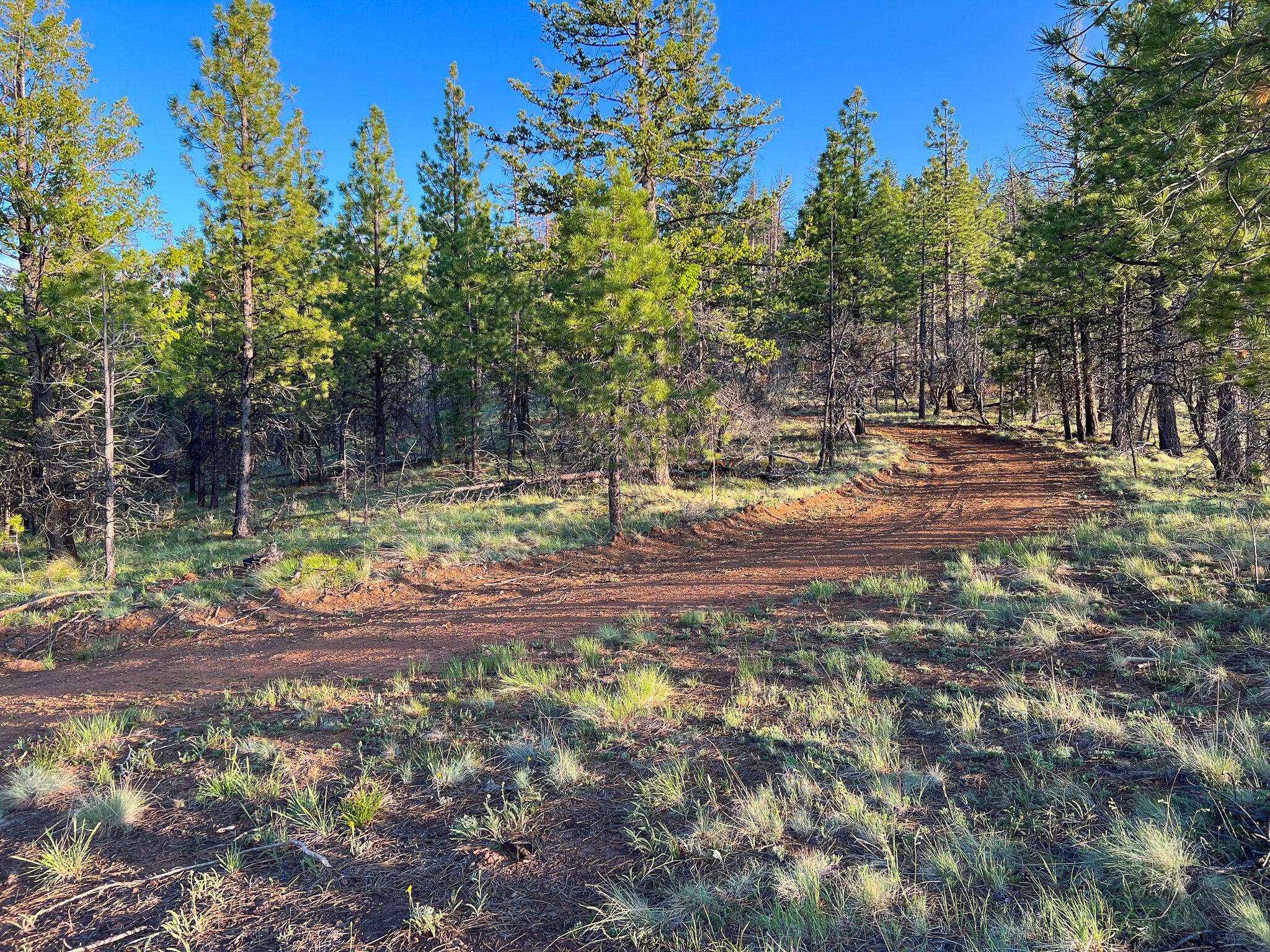 John Day, OR 97845,FS Road 613