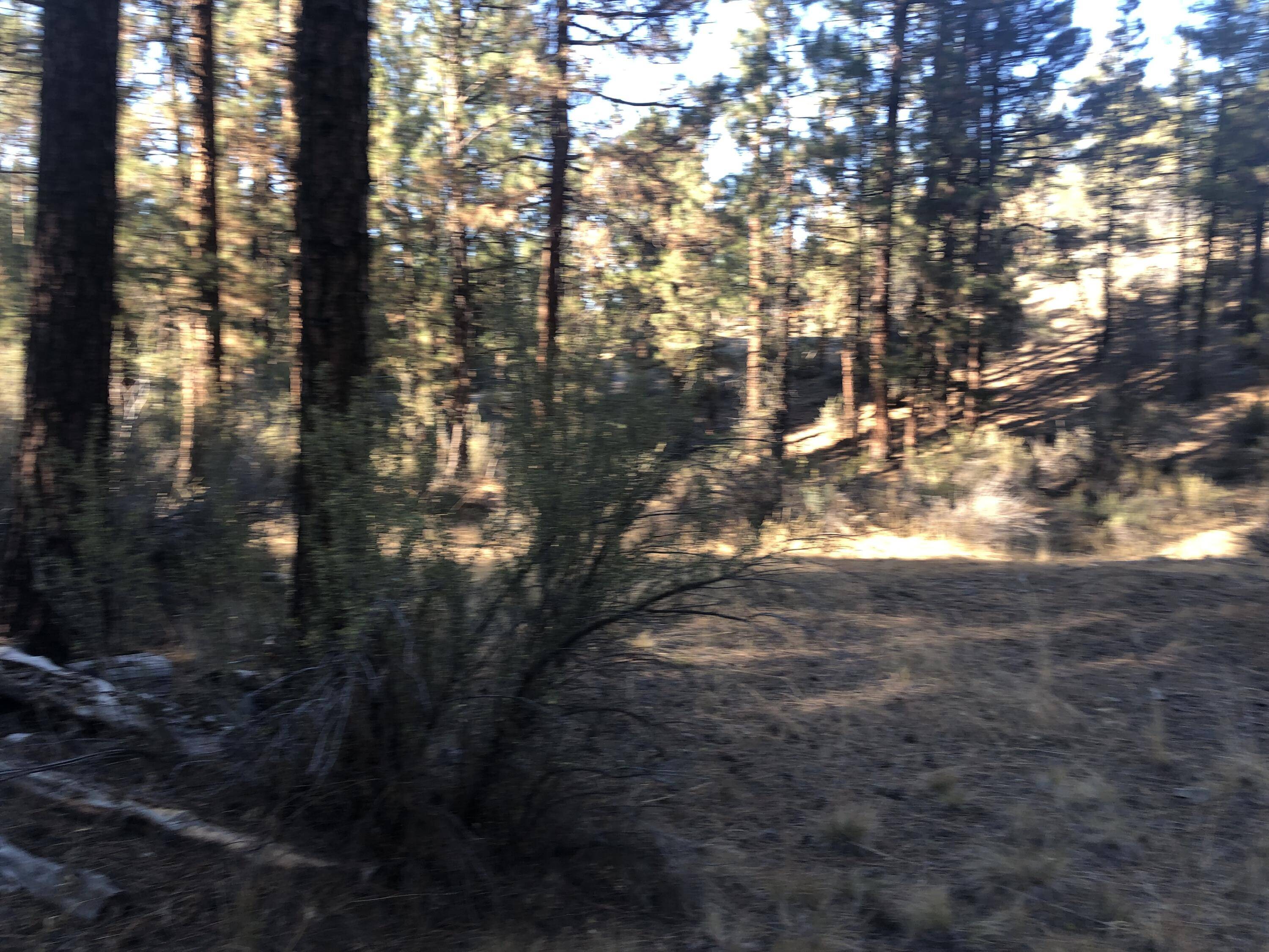 Chiloquin, OR 97624,32555 Magpie RD #6