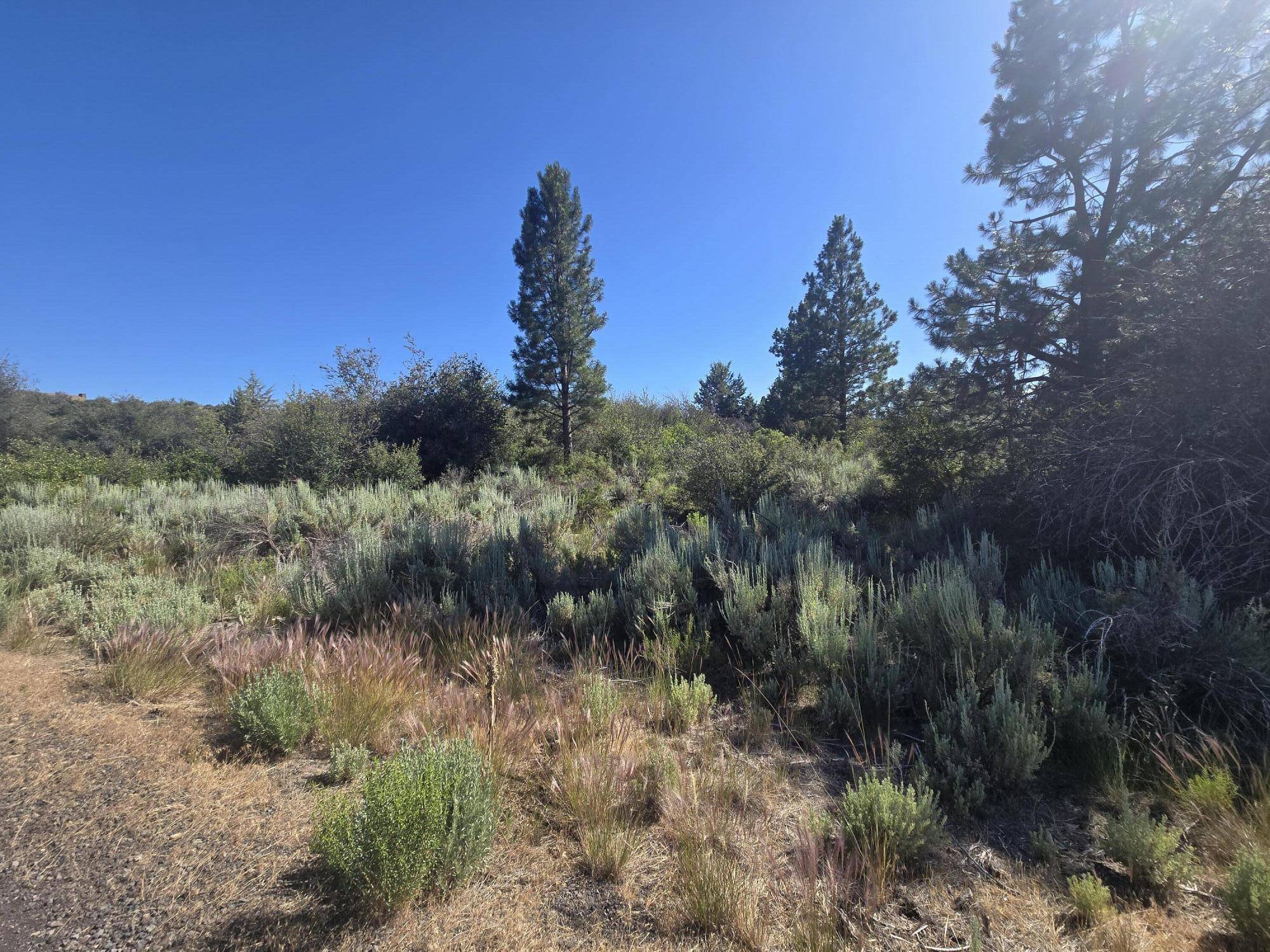 Chiloquin, OR 97624,Wrightwood #Lot 28