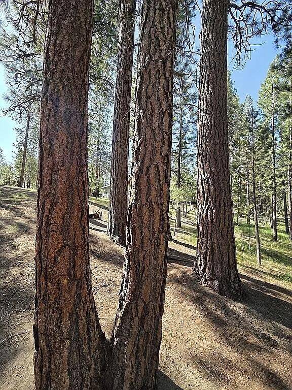 La Pine, OR 97739,2022 Lasso CT