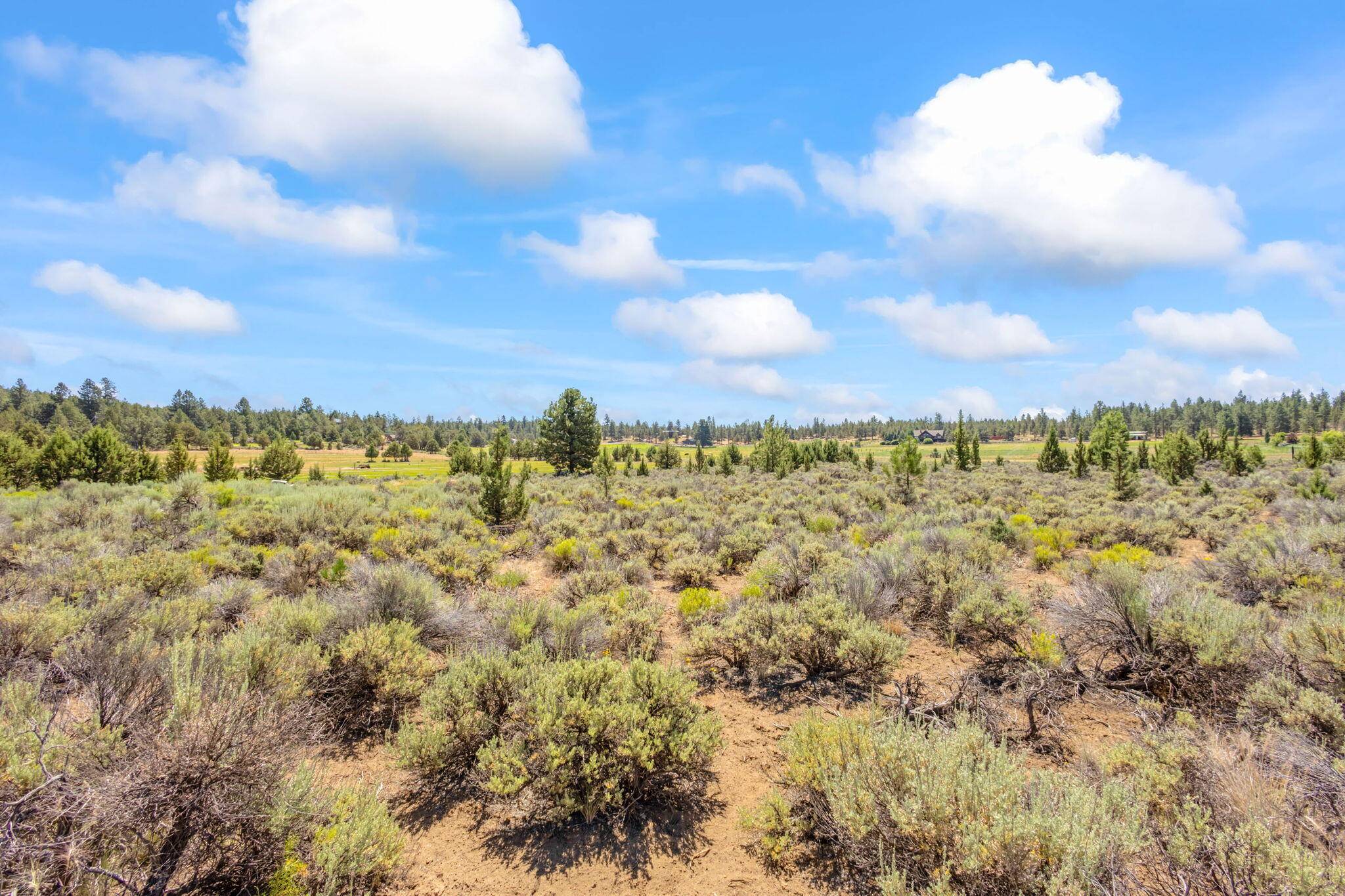 Sisters, OR 97759,69343 Hinkle Butte DR