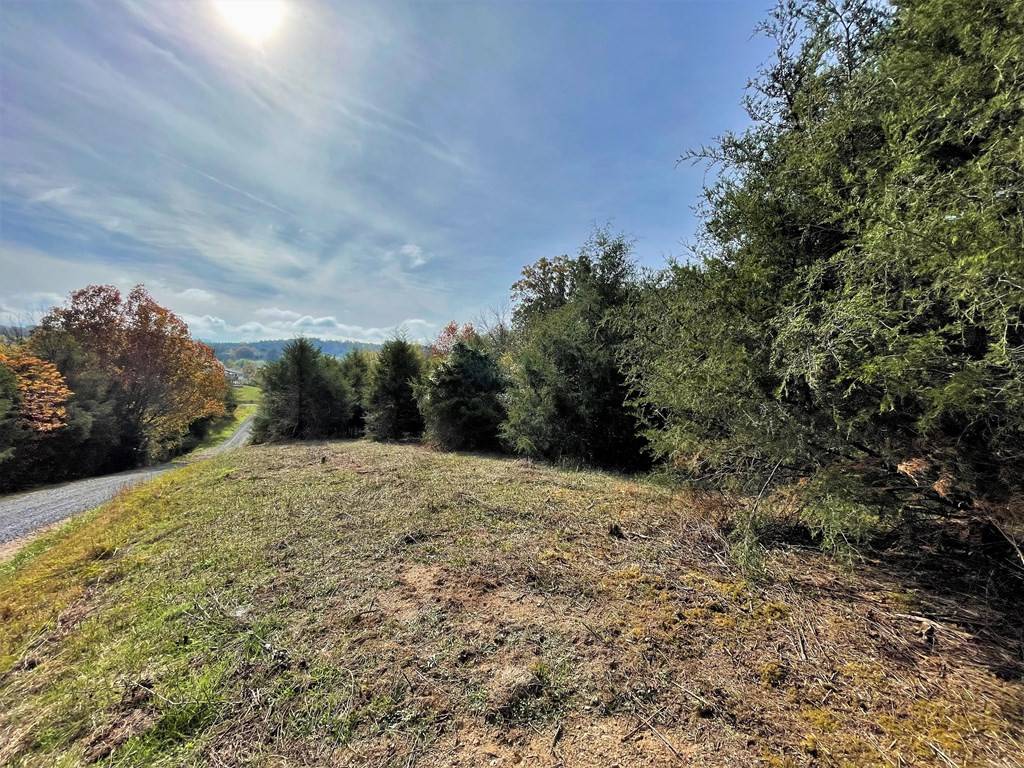 Parrottsville, TN 37843,lot 25 Winterpark LN