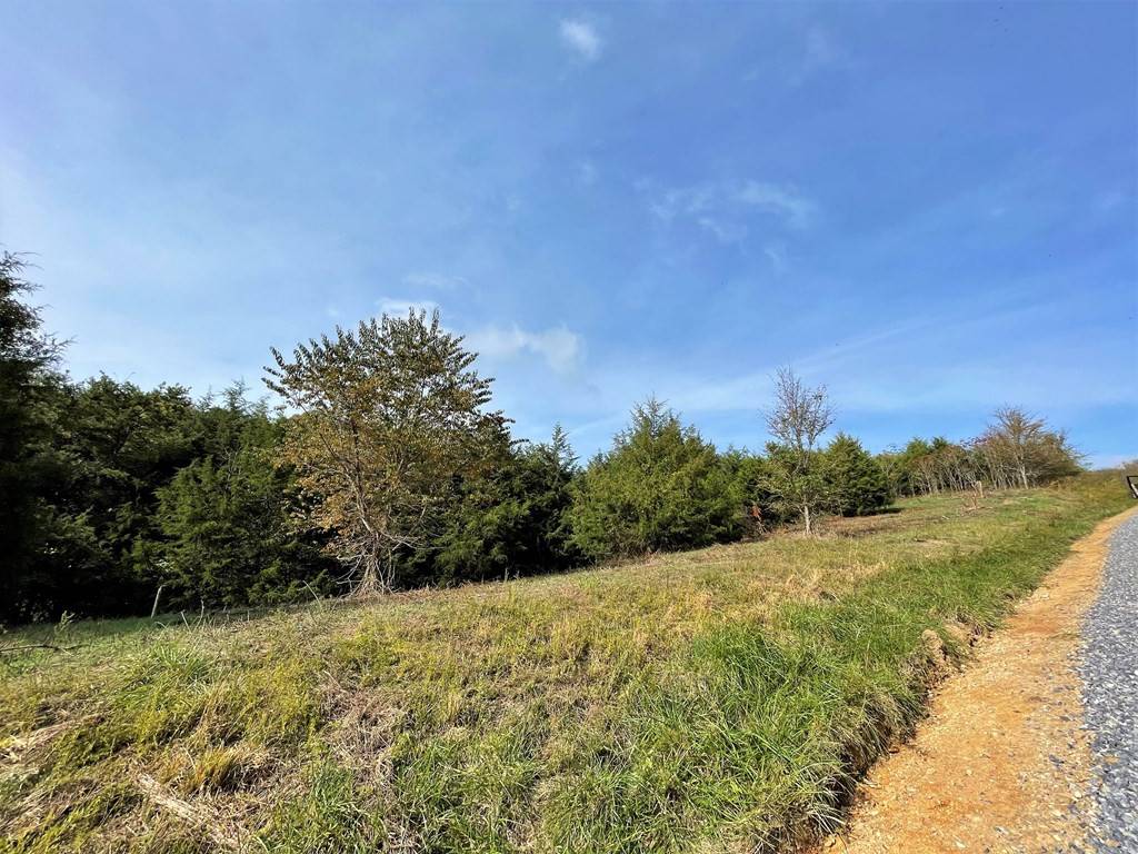 Parrottsville, TN 37843,lot 25 Winterpark LN