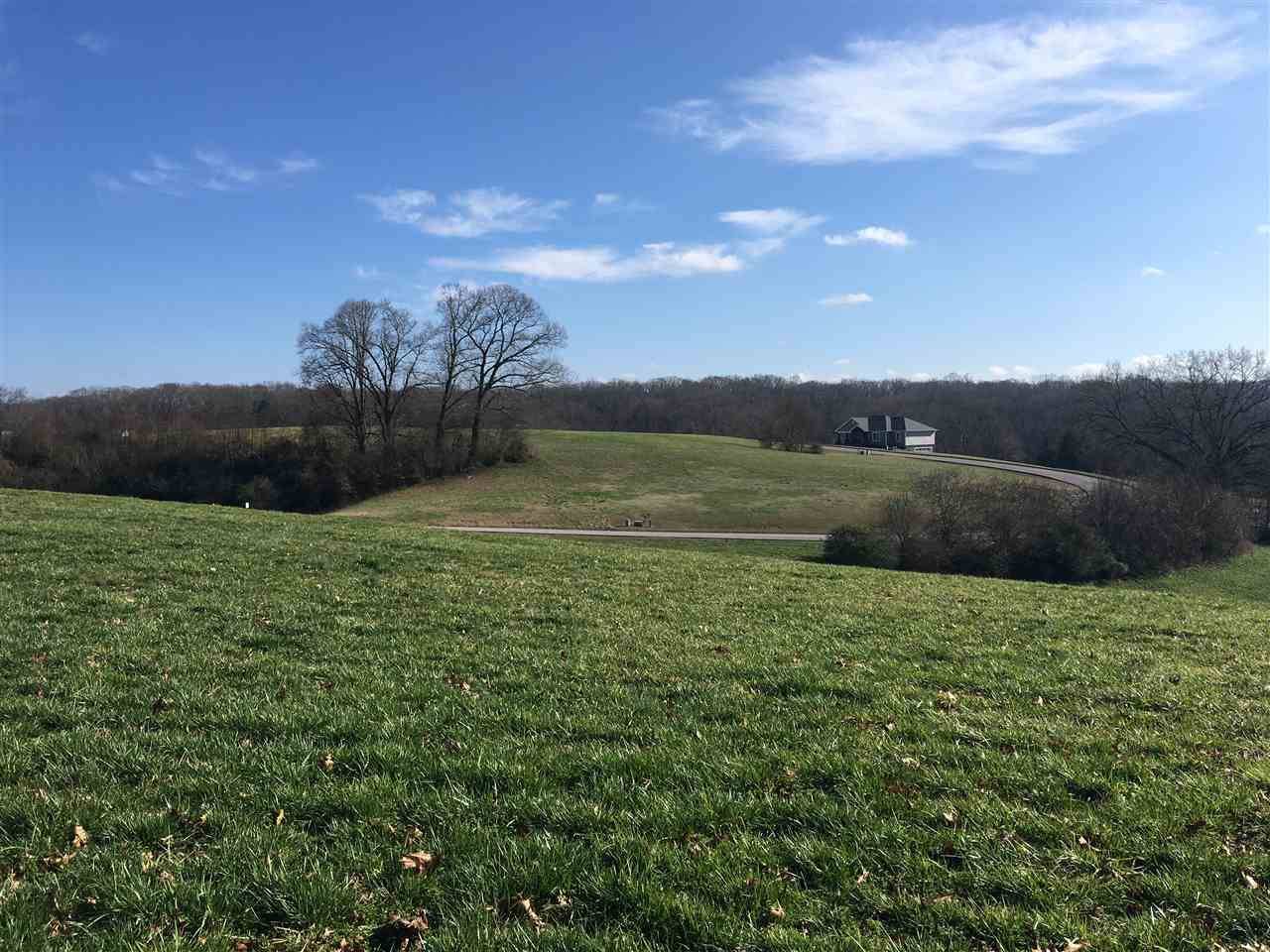 Rutledge, TN 37861,Lot 28 Shiloh Springs RD