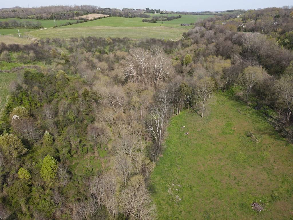 New Market, TN 37820,Lot #2 Mitchell RD
