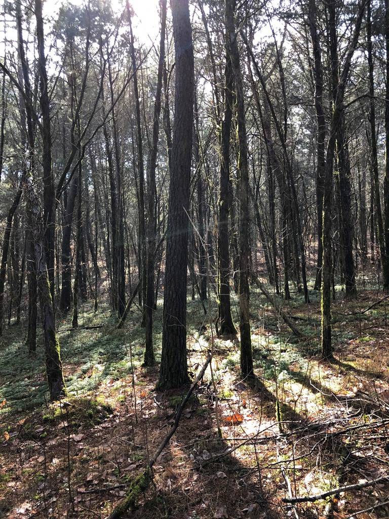 Mosheim, TN 37818,00 Delta Valley RD