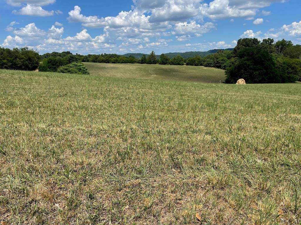 Jefferson City, TN 37760,Lot 20 Forgety RD