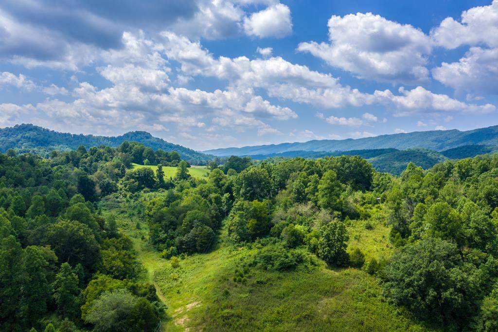 Mooresburg, TN 37811,163 Ross Lovin RD