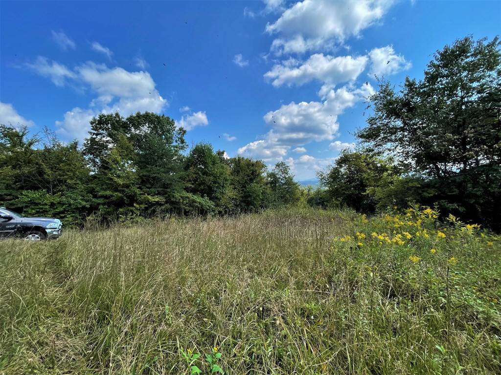 Parrottsville, TN 37843,Lot 20 Oak Hammock CIR
