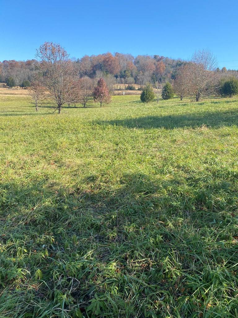 Parrottsville, TN 37843,Lot 42 Secluded River CIR
