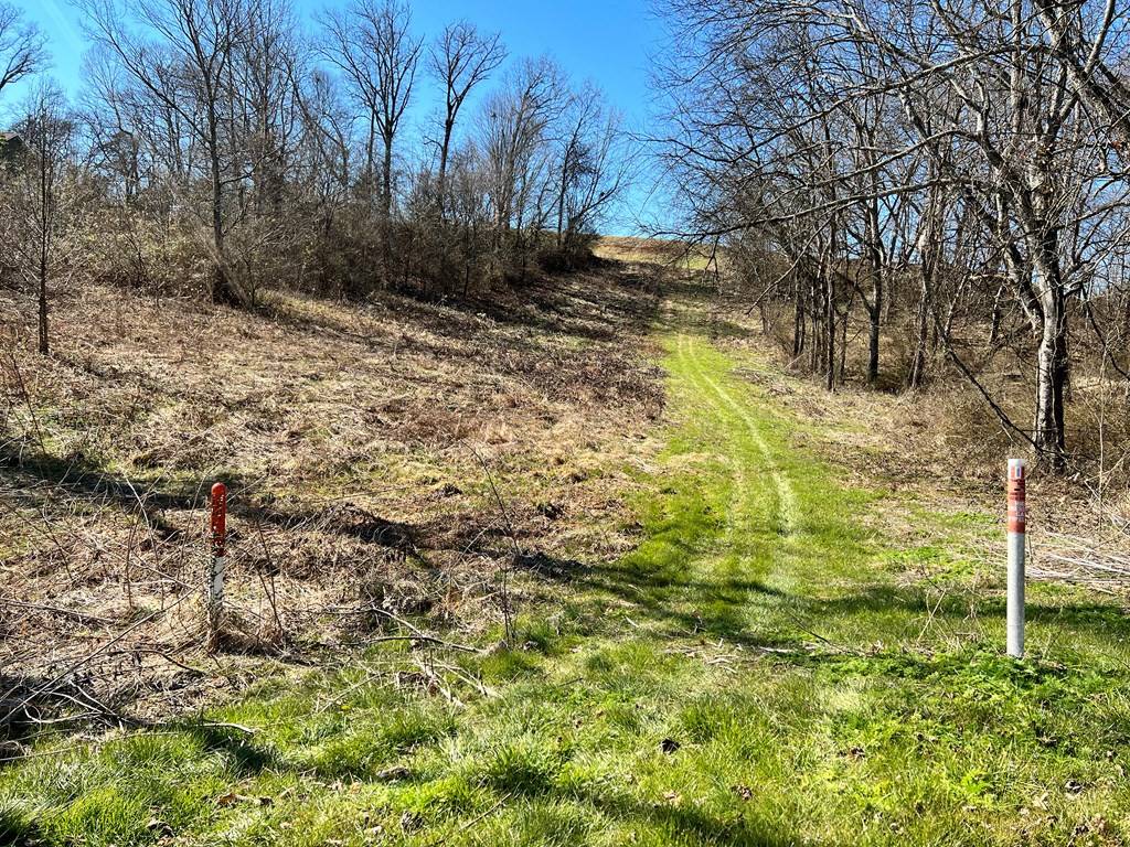 Sevierville, TN 37876,Korey BLVD
