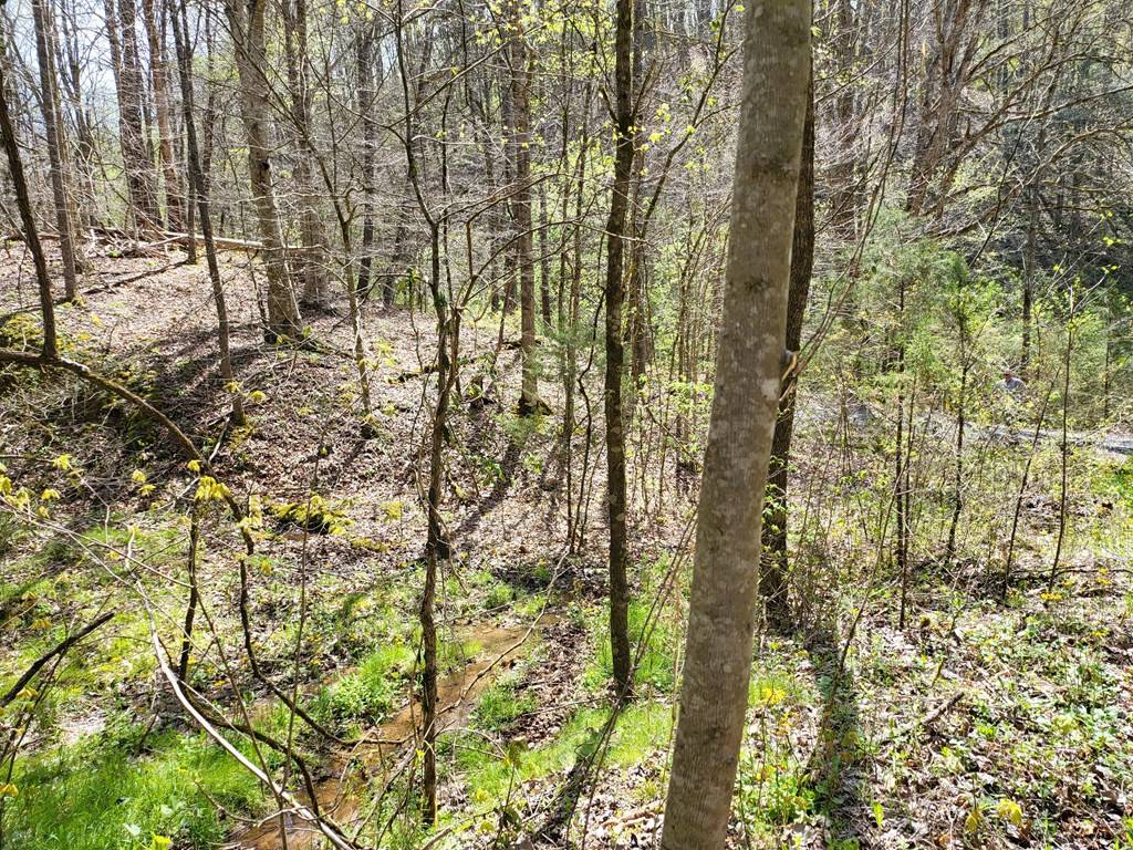 Parrottsville, TN 37843,- Talley RD