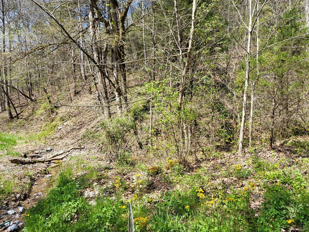 Parrottsville, TN 37843,- Talley RD