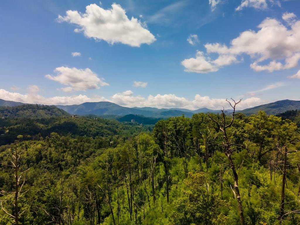 Gatlinburg, TN 37738,104 Oglewood LN