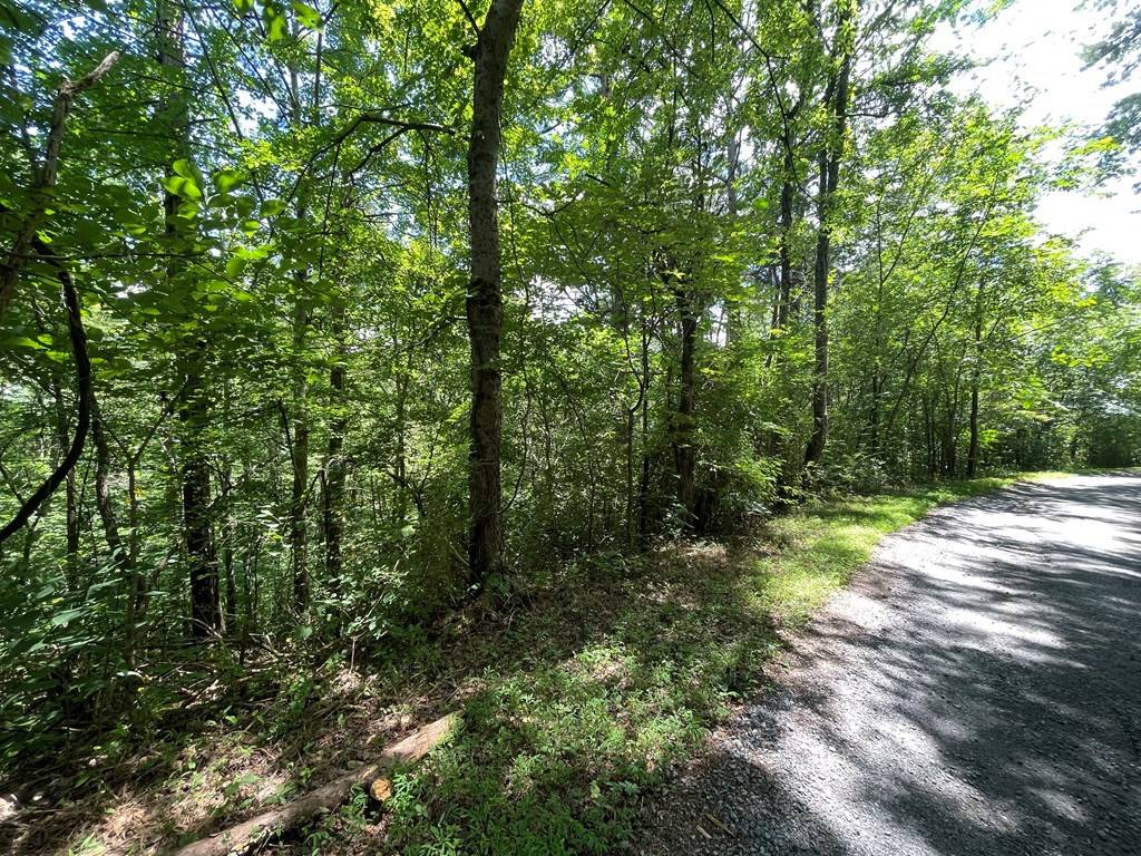 Newport, TN 37821,Lot 15 Michaels WAY