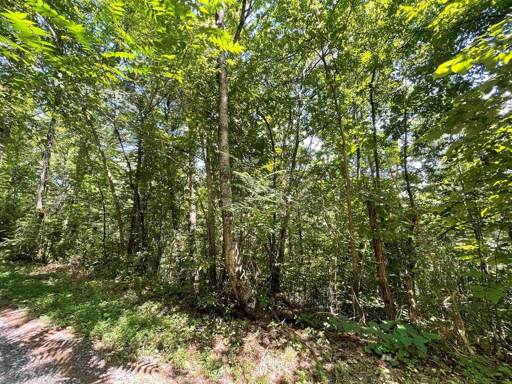 Newport, TN 37821,Lot 15 Michaels WAY