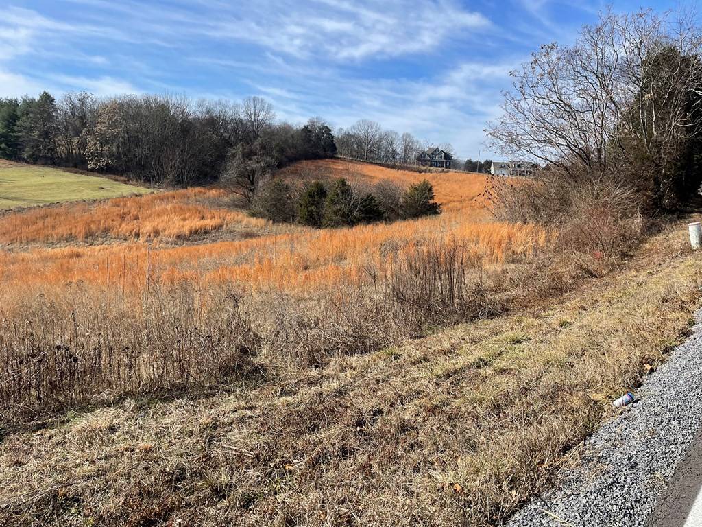 White Pine, TN 37890,BRETHREN CHURCH RD