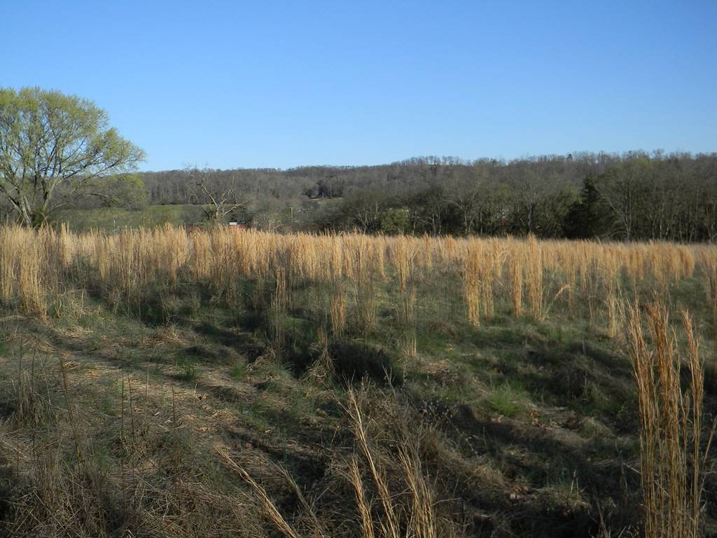 Jefferson City, TN 37760,Lot 4 Coile RD