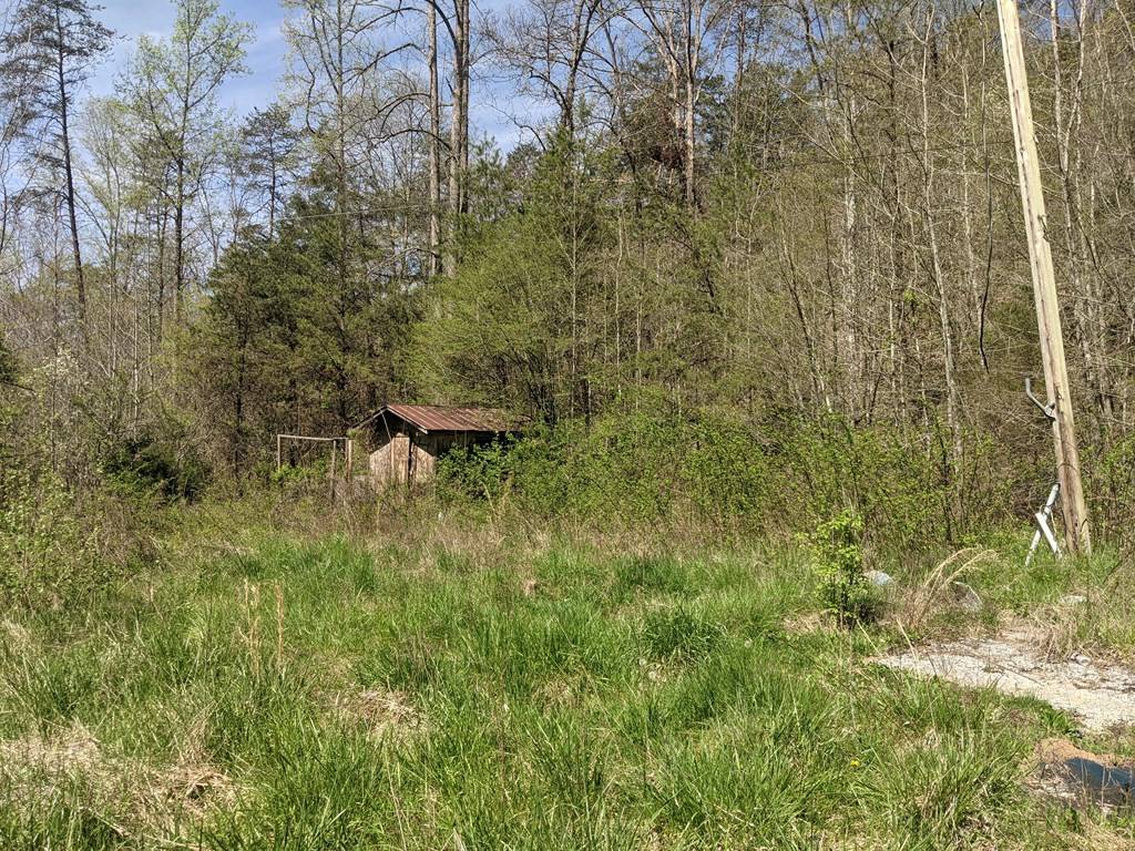 Tazewell, TN 37879,Bucklick LN