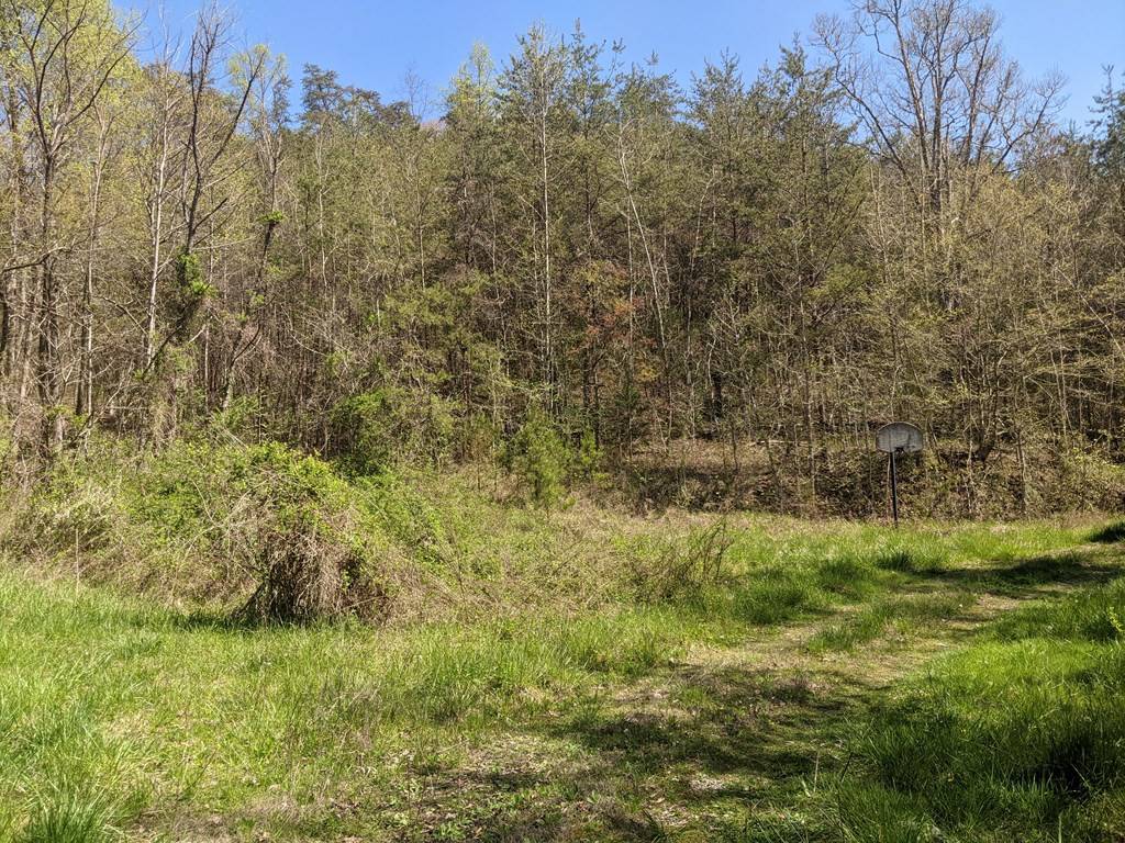 Tazewell, TN 37879,Bucklick LN