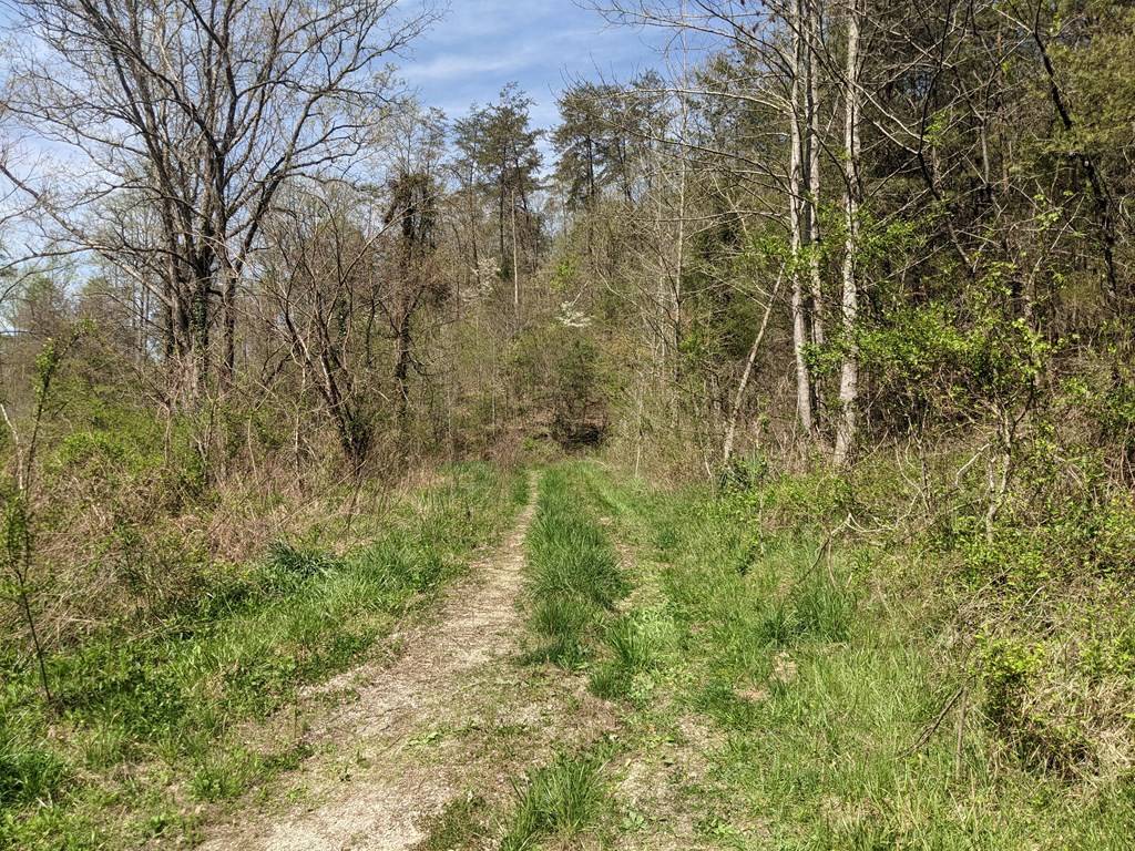 Tazewell, TN 37879,Bucklick LN