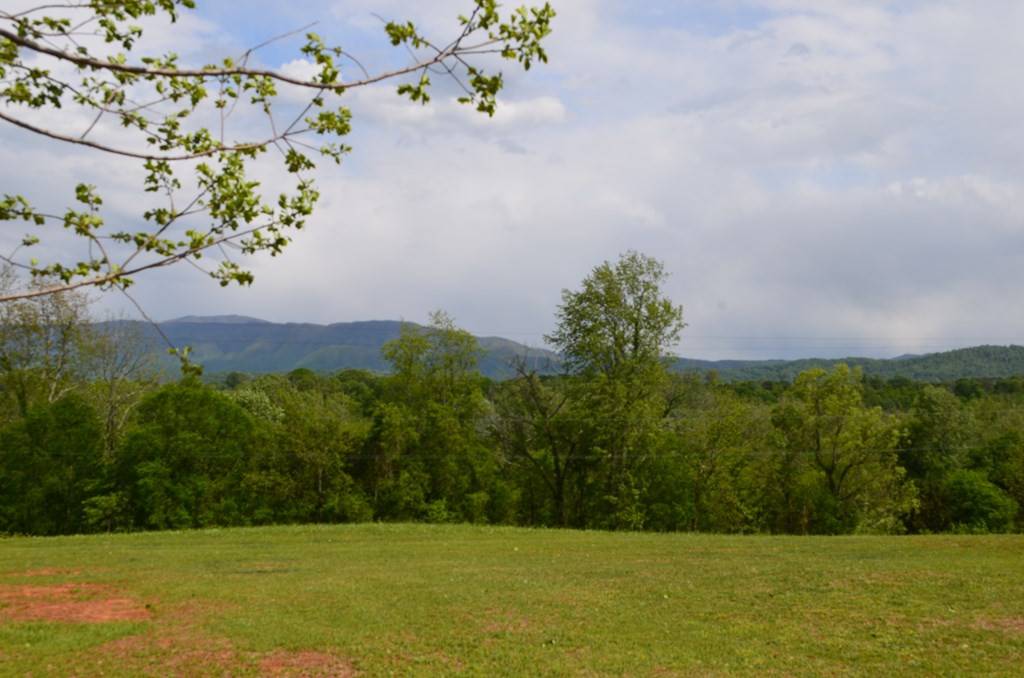 Greeneville, TN 37743,Lot 20R Golf Villa DR