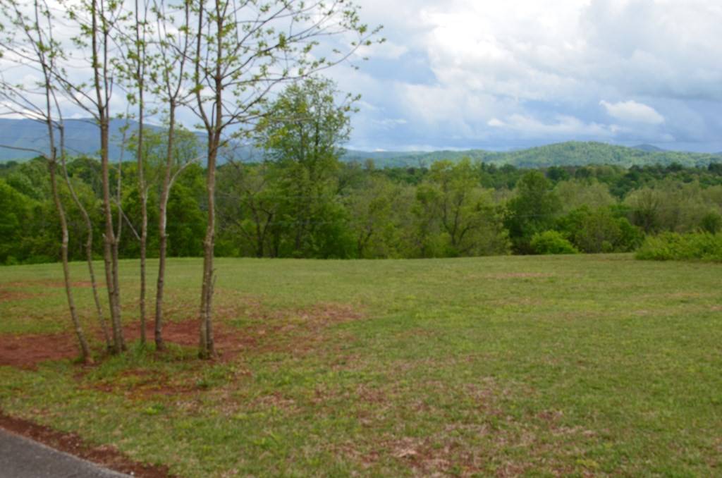 Greeneville, TN 37743,Lot 20R Golf Villa DR