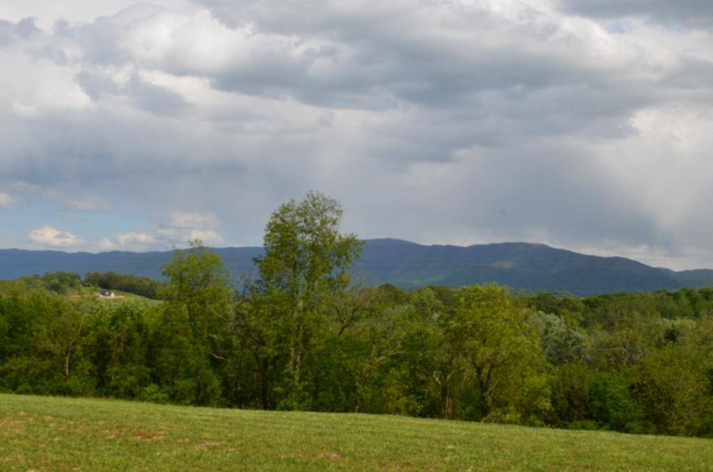 Greeneville, TN 37743,Lot 22R Golf Villa DR