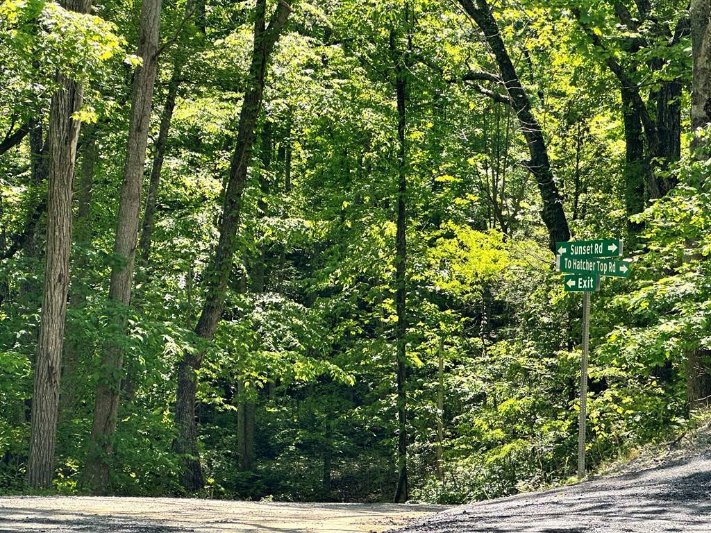 Sevierville, TN 37862,2604 Sunset RD
