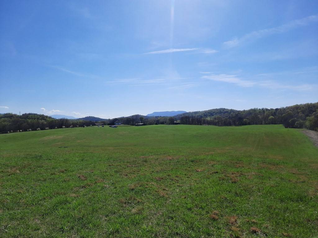 Parrottsville, TN 37843,Bluff RD