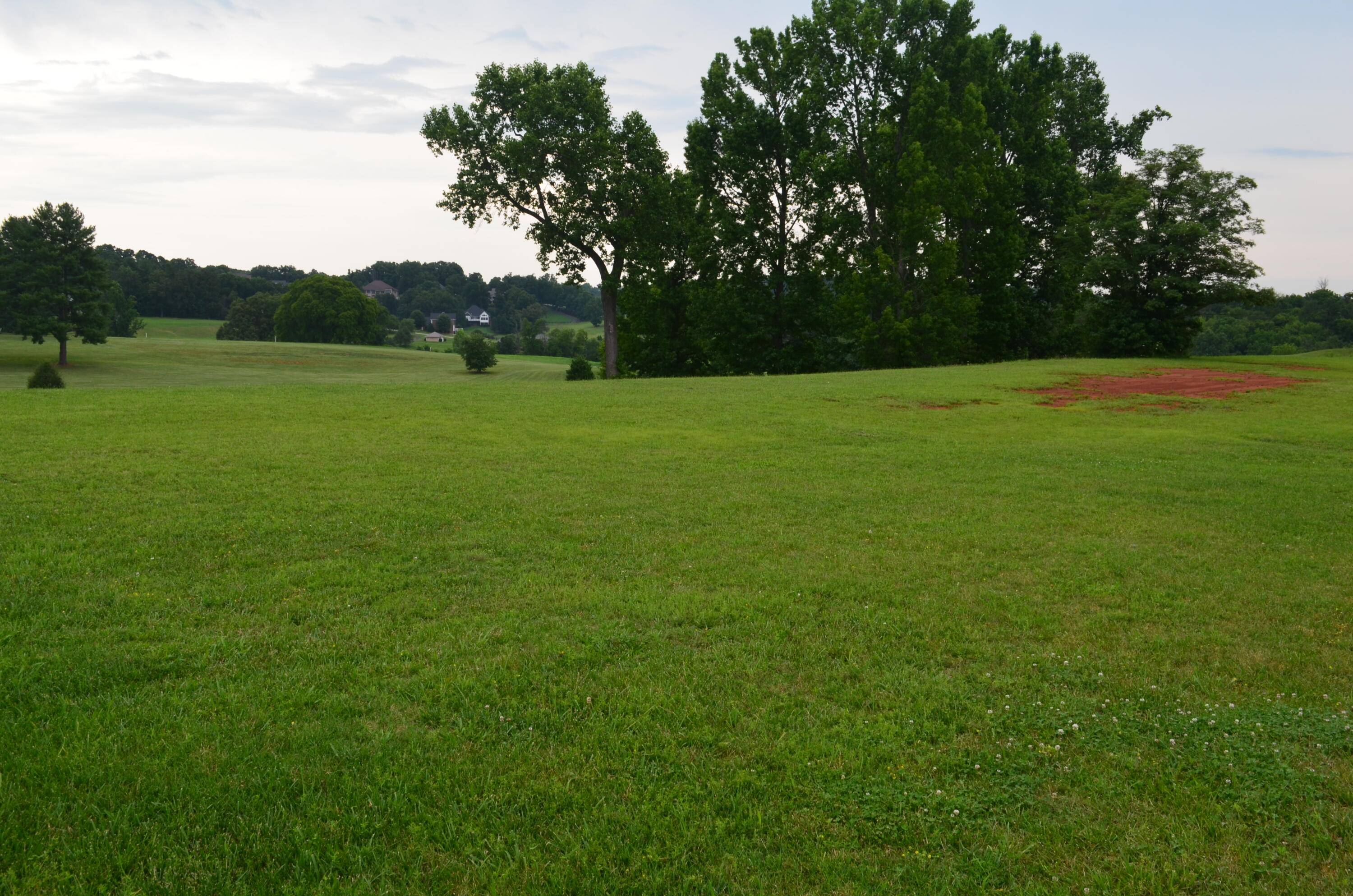 Greeneville, TN 37743,Lot 7R Golf Villa DR