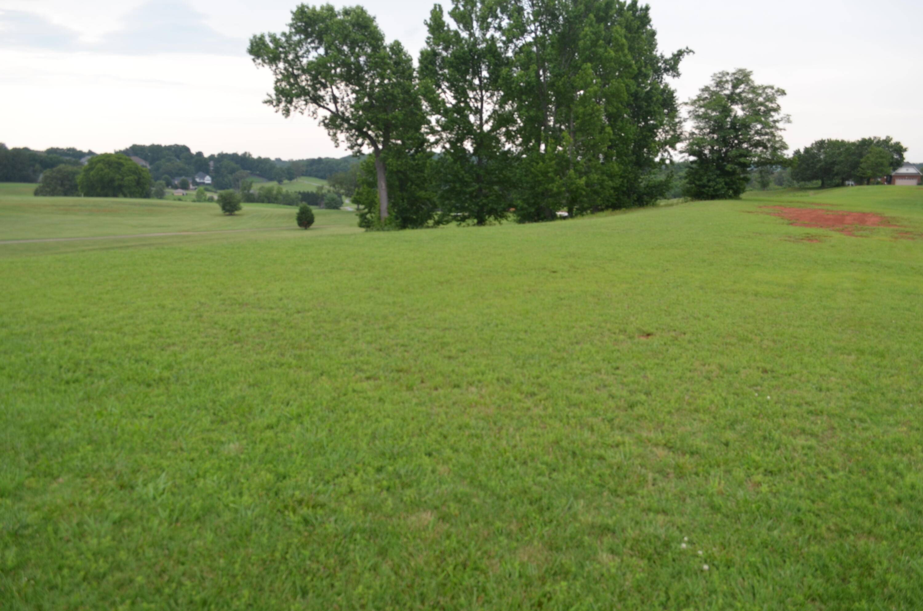 Greeneville, TN 37743,Lot 7R Golf Villa DR