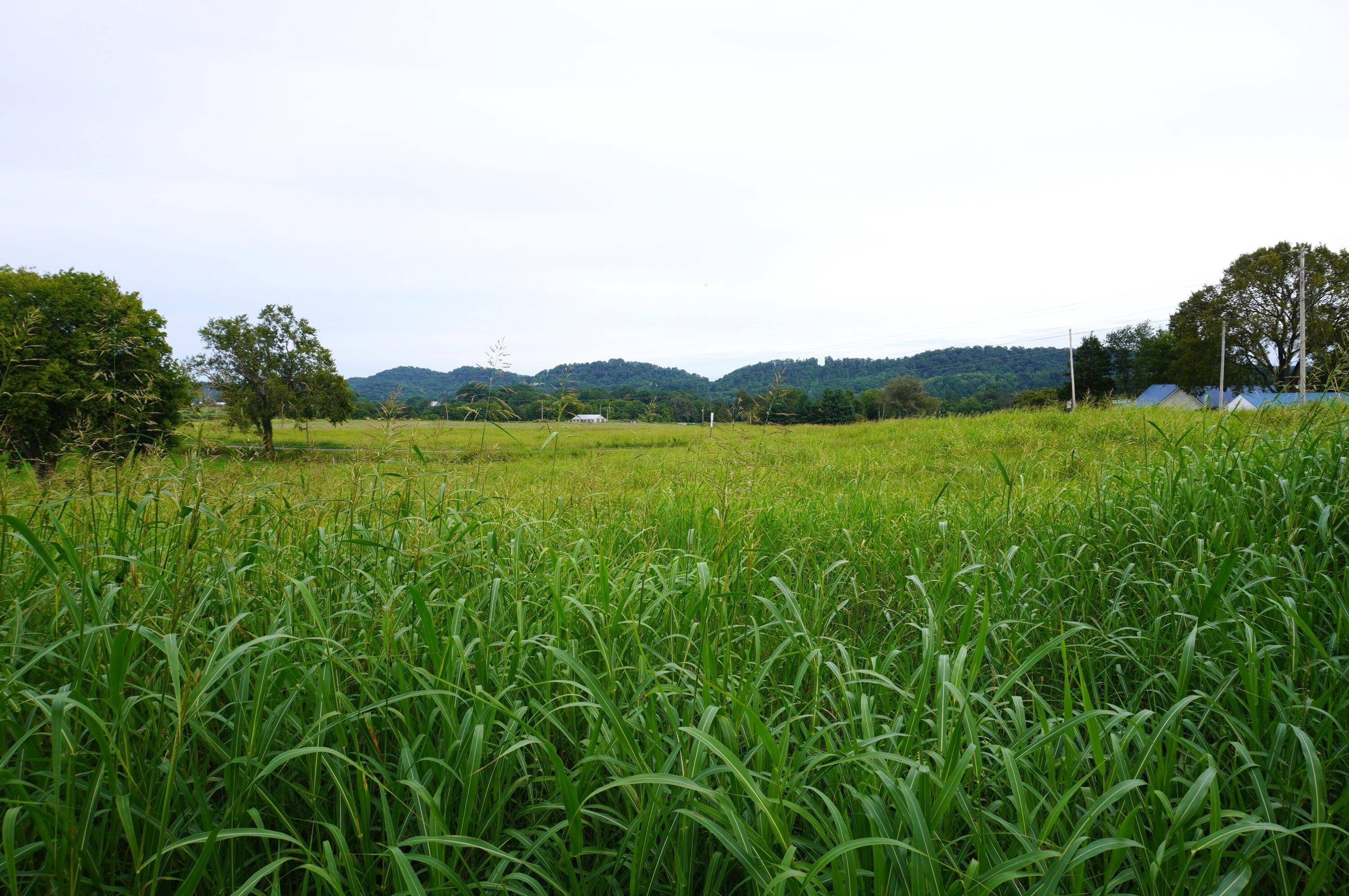 Jefferson City, TN 37760,Lot 2 Mt. Horeb