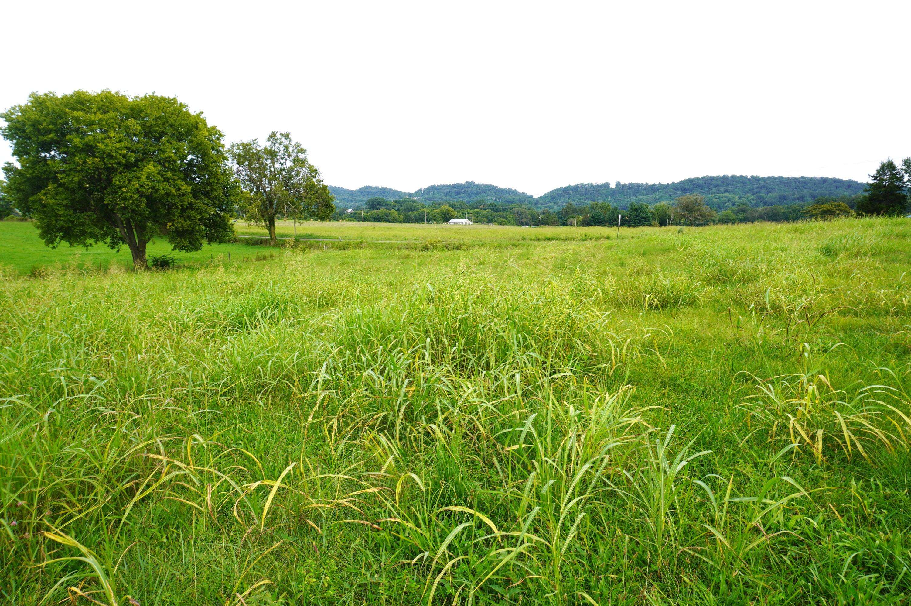 Jefferson City, TN 37760,Lot 2 Mt. Horeb