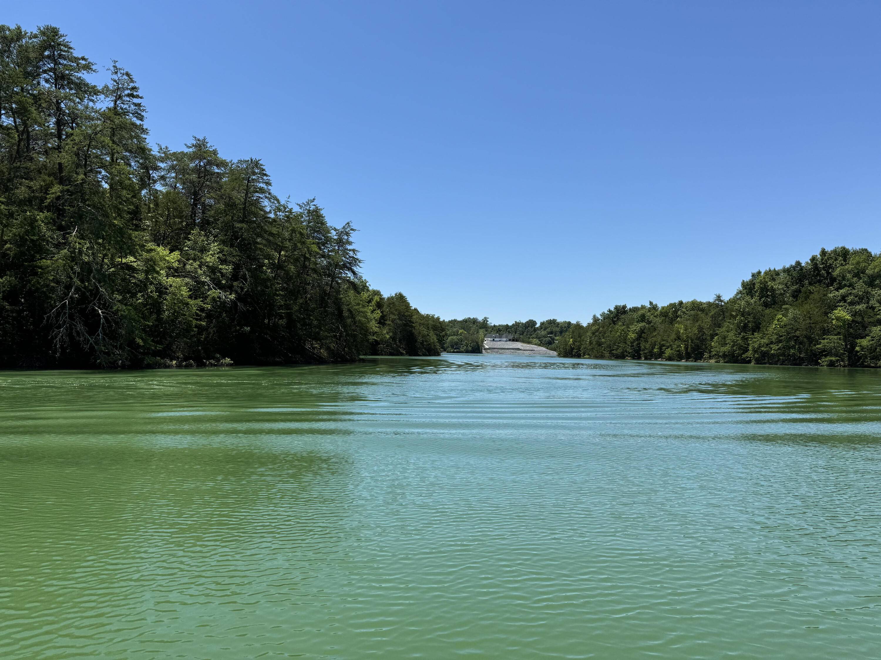 Dandridge, TN 37725,0 Douglas Bay WAY