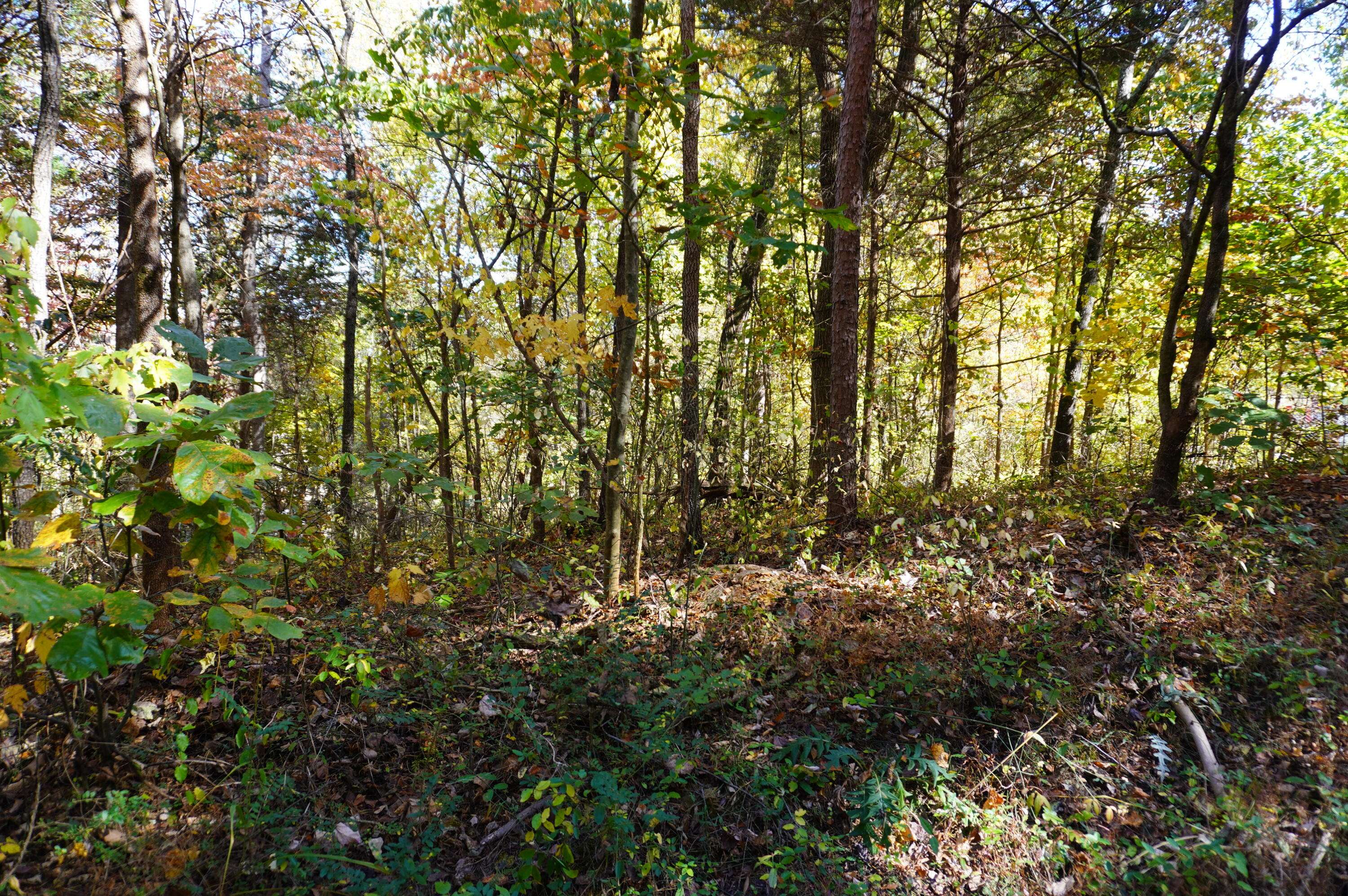 Parrottsville, TN 37843,Lot 46 West DR