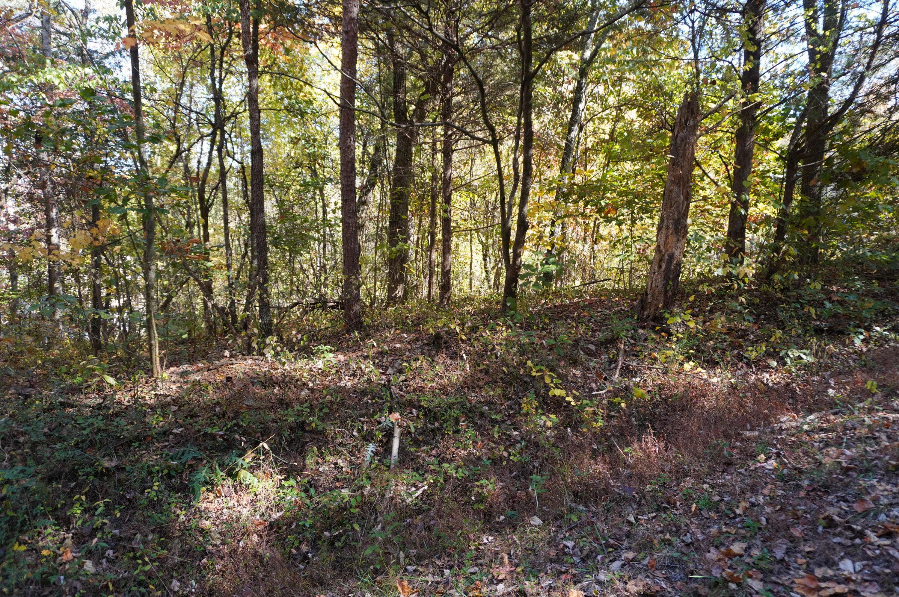 Parrottsville, TN 37843,Lot 46 West DR