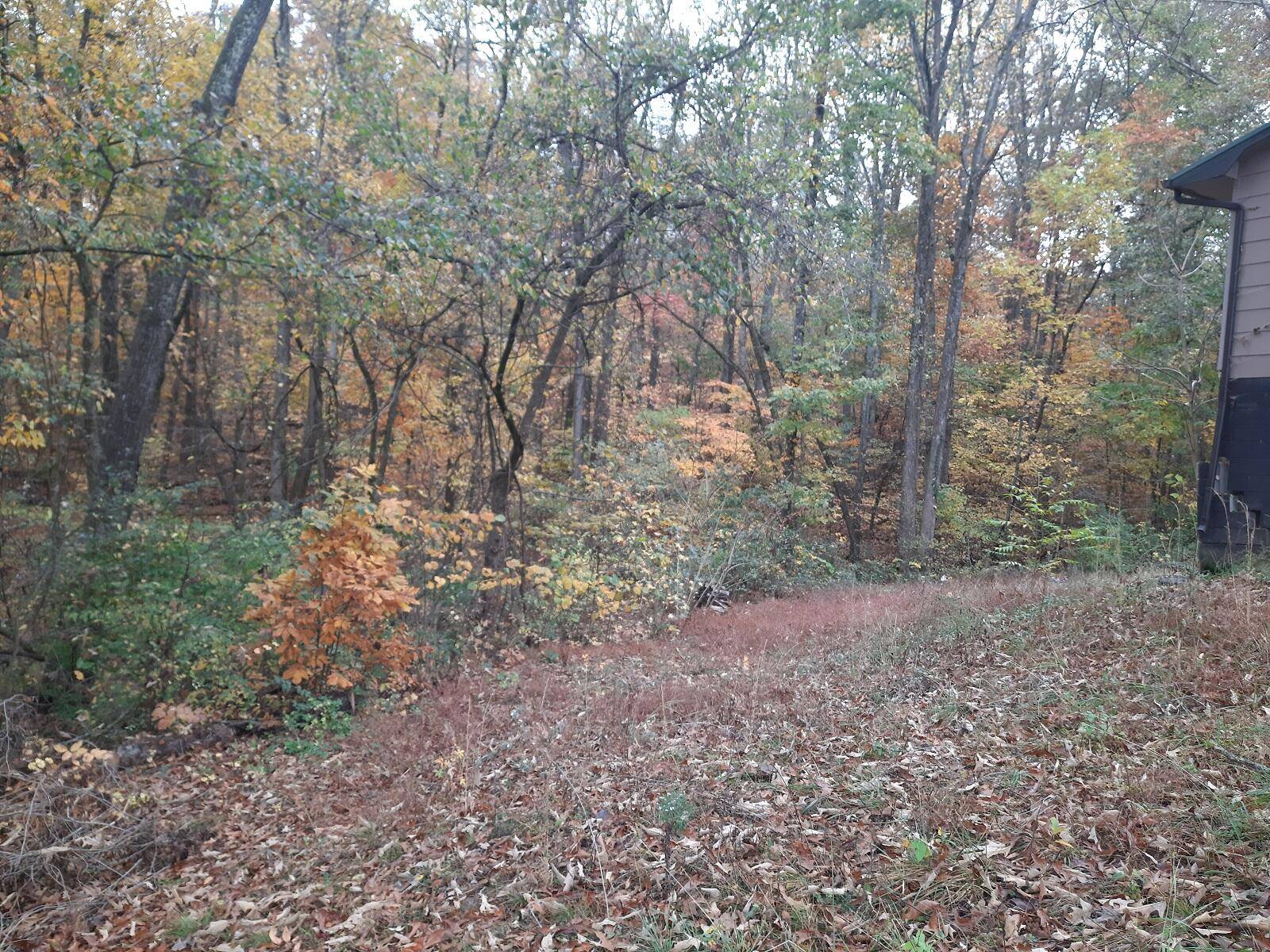 Parrottsville, TN 37843,120 Hillcrest Dr
