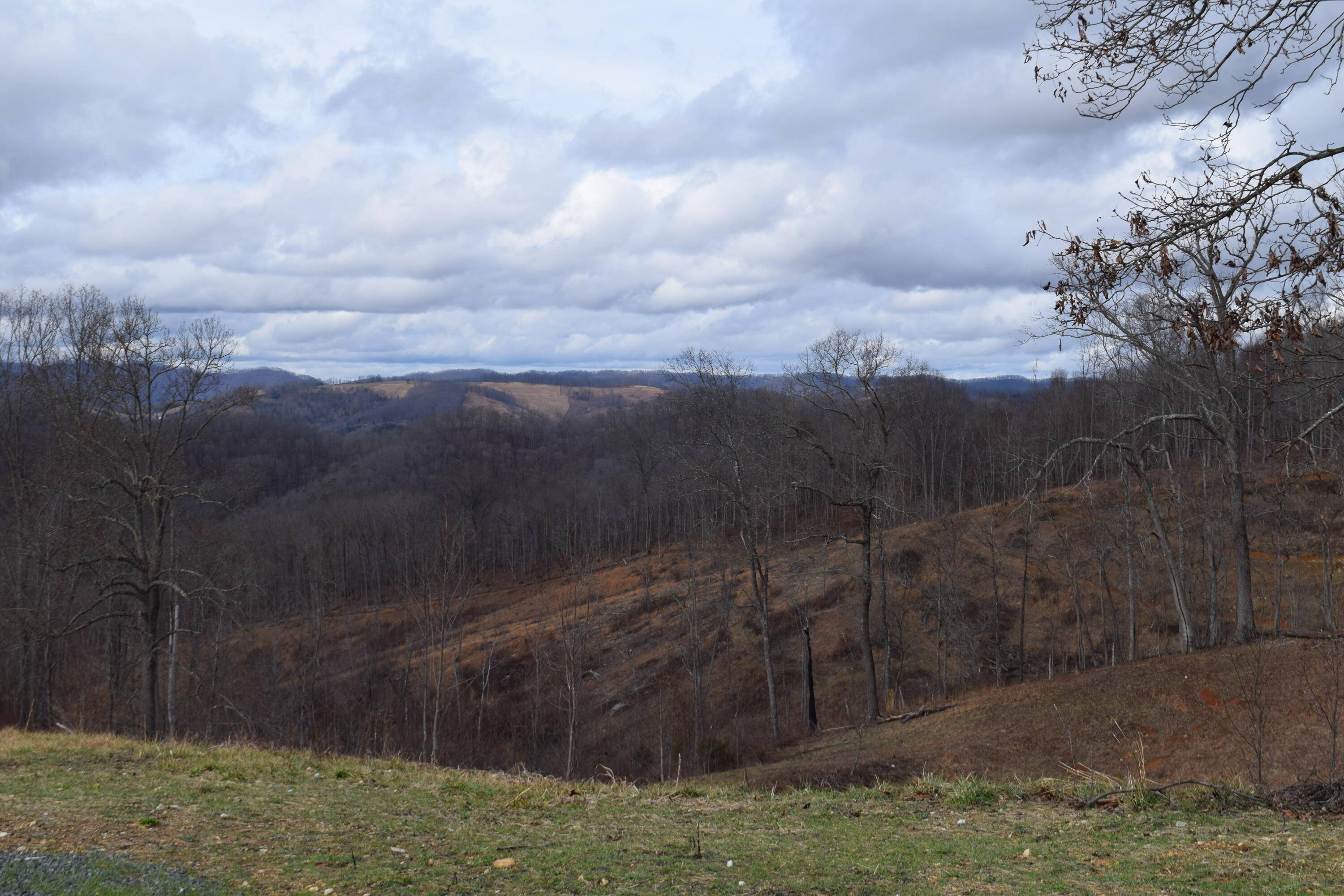 Eidson, TN 37731,27.33 Ac Big Springs RD
