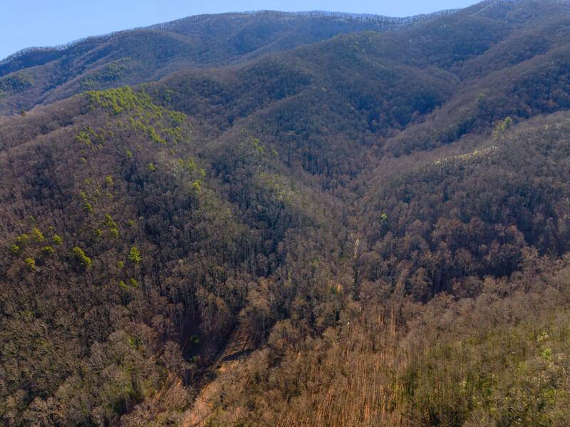 Hartford, TN 37753,3820 Woody RD