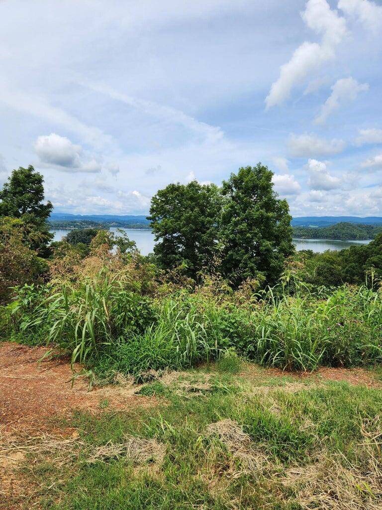 Morristown, TN 37814,2643 Serenity Sound