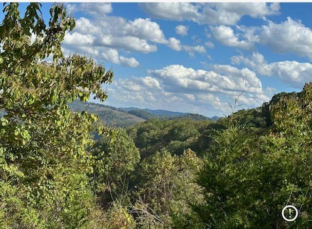Sneedville, TN 37869,0 Gaps Chapel RD