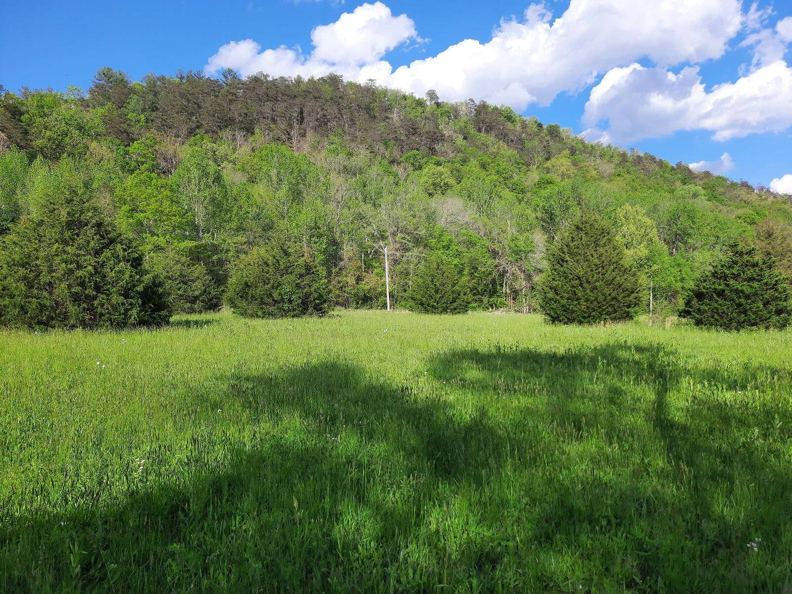 Del Rio, TN 37727,Lot 155 River Rapids Way