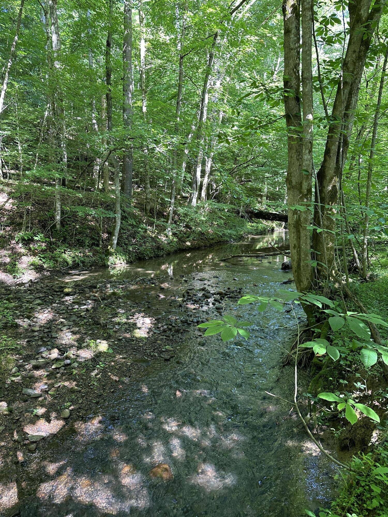 Surgoinsville, TN 37873,00 Williams  (42 acres) RD
