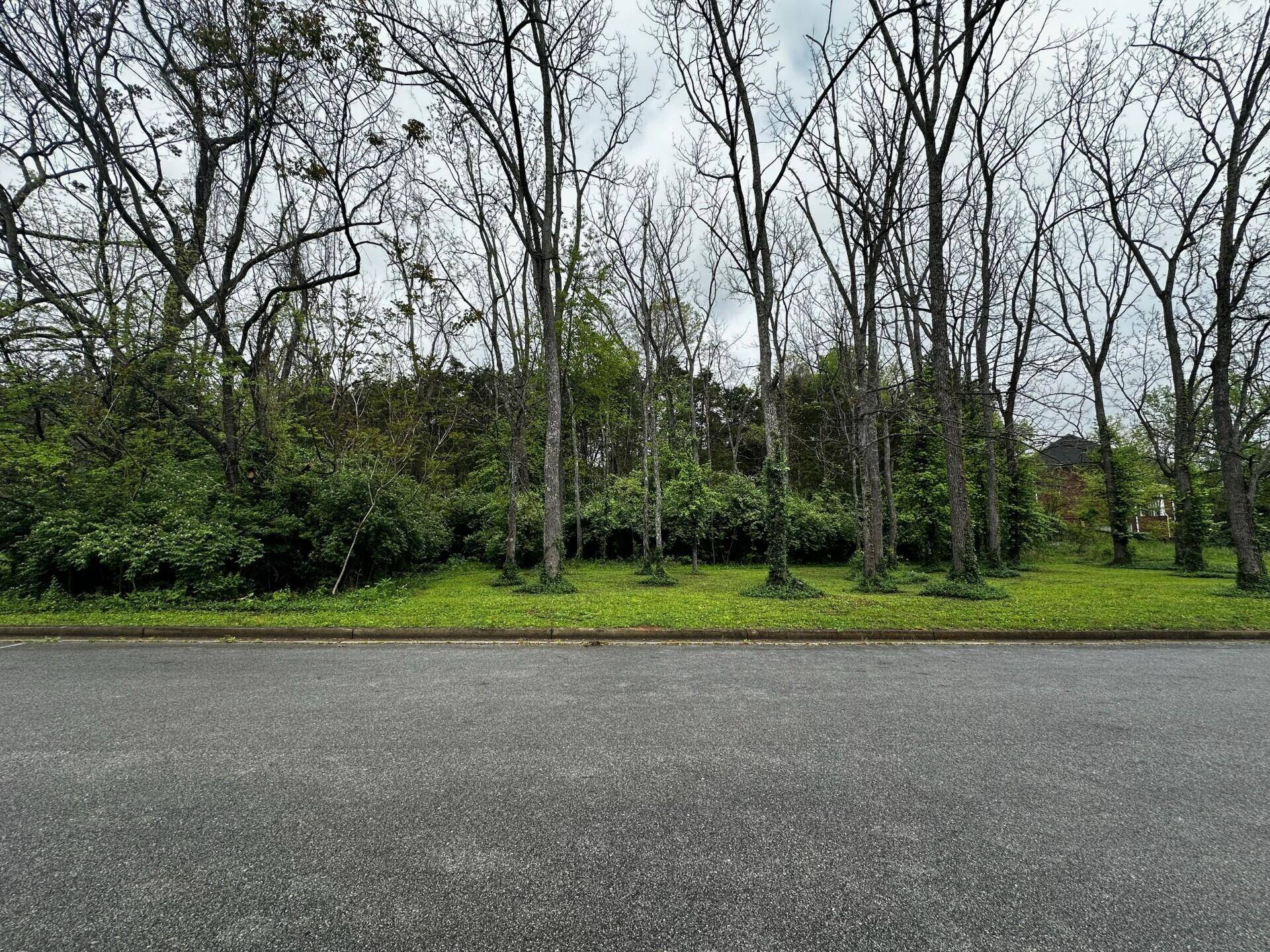 Greeneville, TN 37745,.76 Ac Watercress Drive