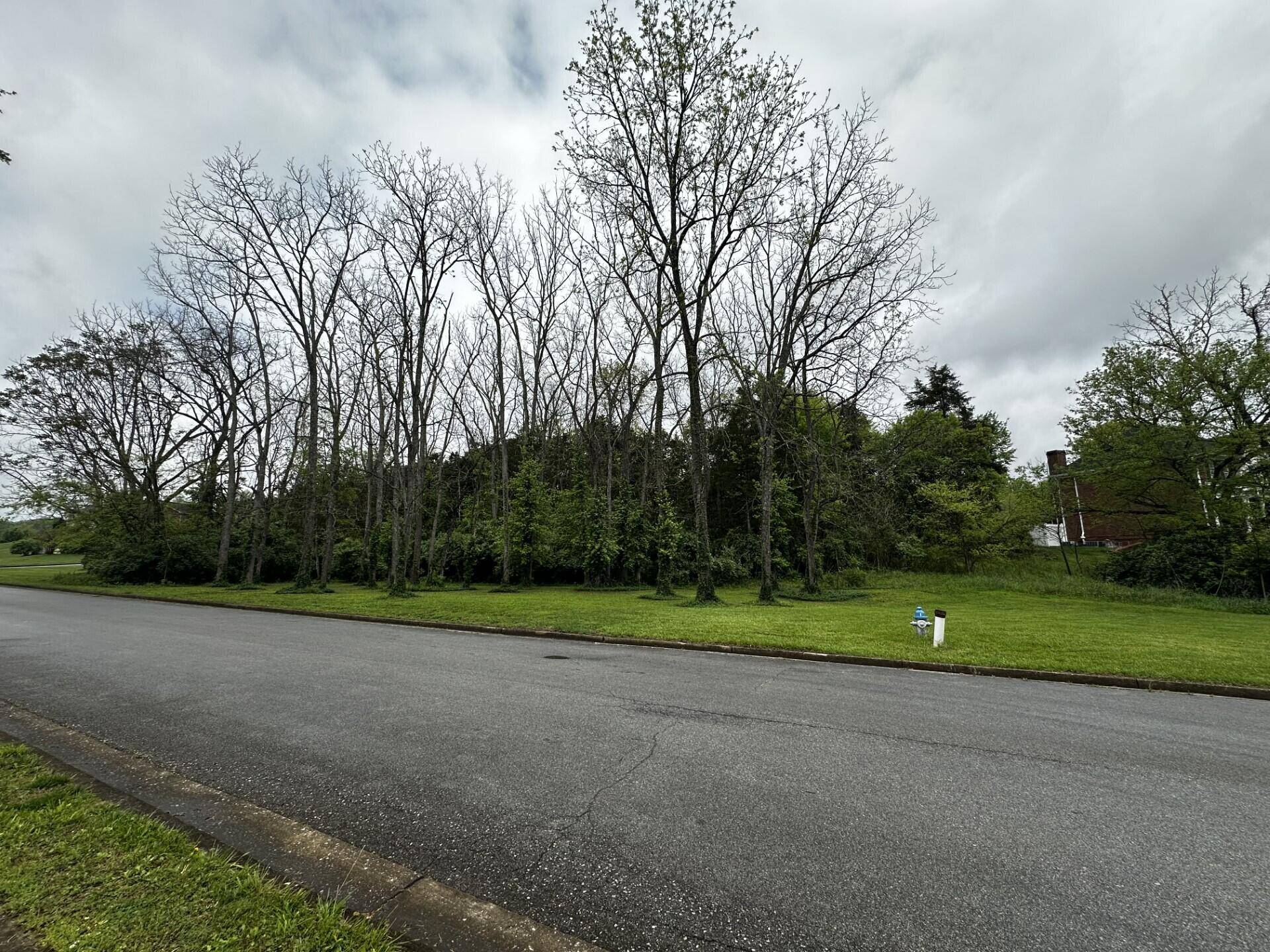 Greeneville, TN 37745,.76 Ac Watercress Drive